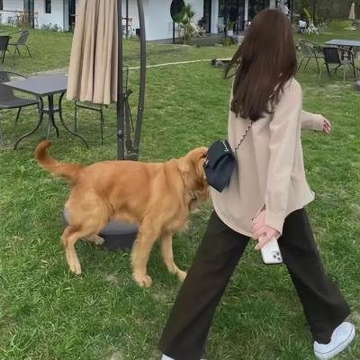赫尔佐格的自画像
